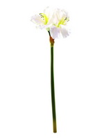 umělá amaryllis umělá amaryllis