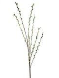 Kočičky, větvička 117cm Kočičky, větvička 117cm