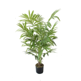 Palma parlour, 90cm