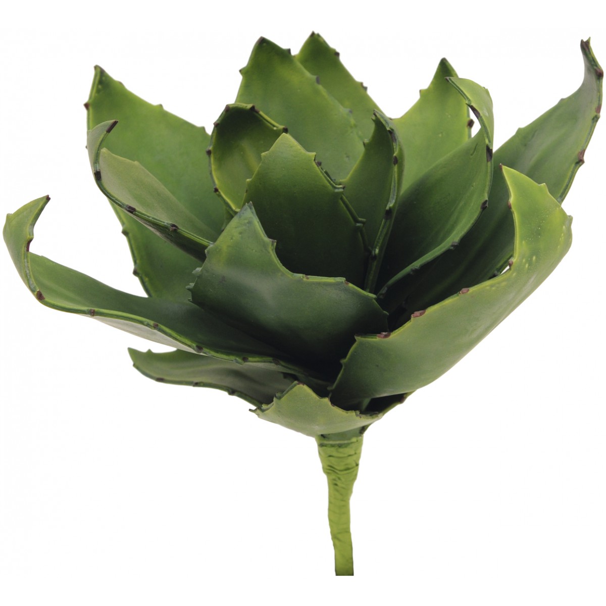 Agave kaktus zelený, 45cm