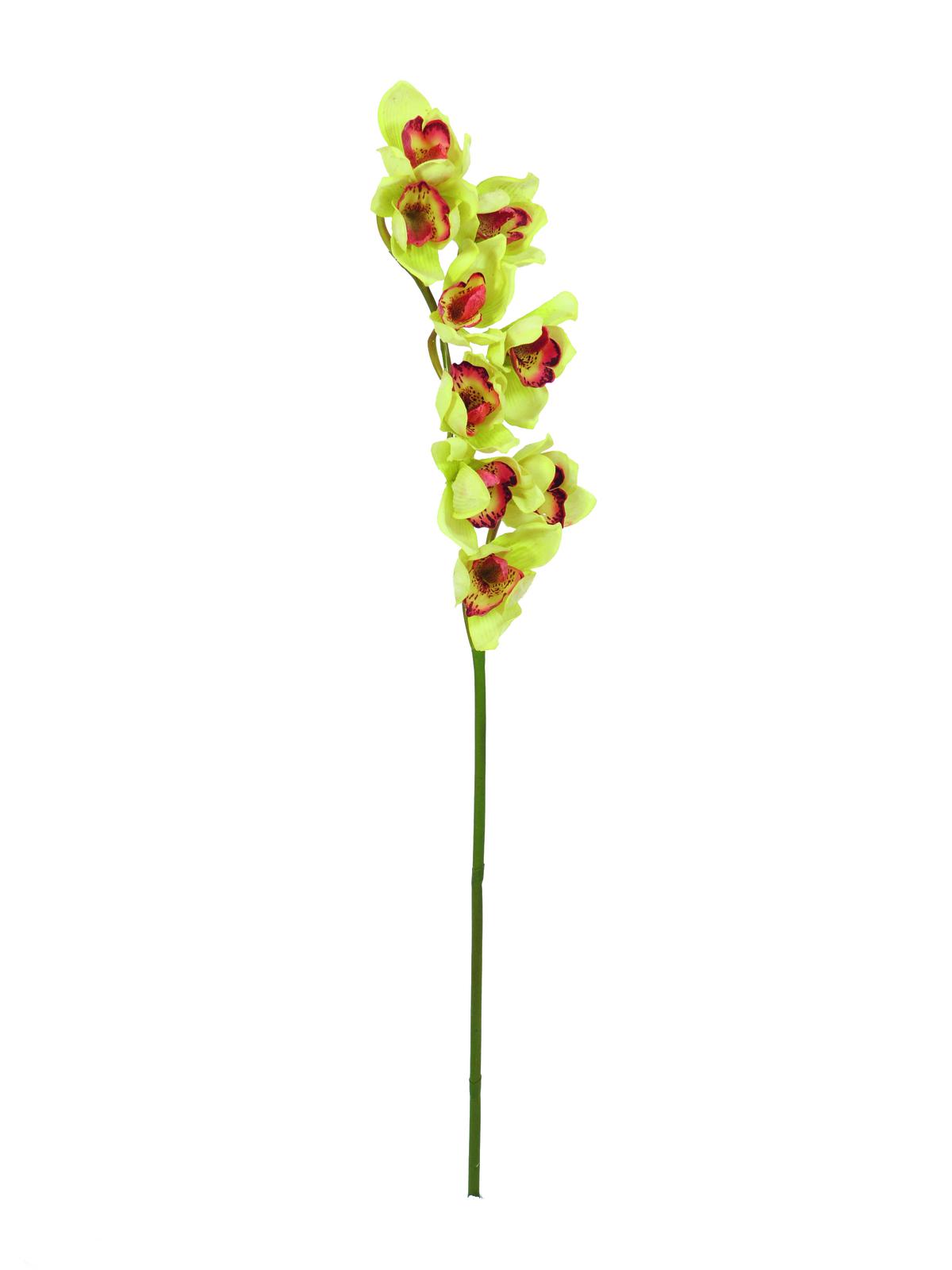 Cymbidium větvička, zelená 90cm