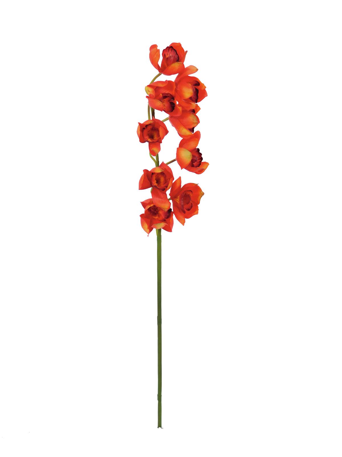 Cymbidium větvička, červená 90cm