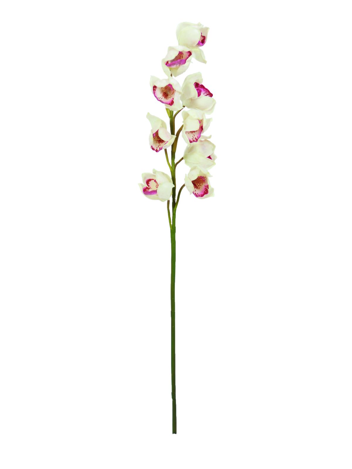 Cymbidium větvička, bílo-růžová 90cm