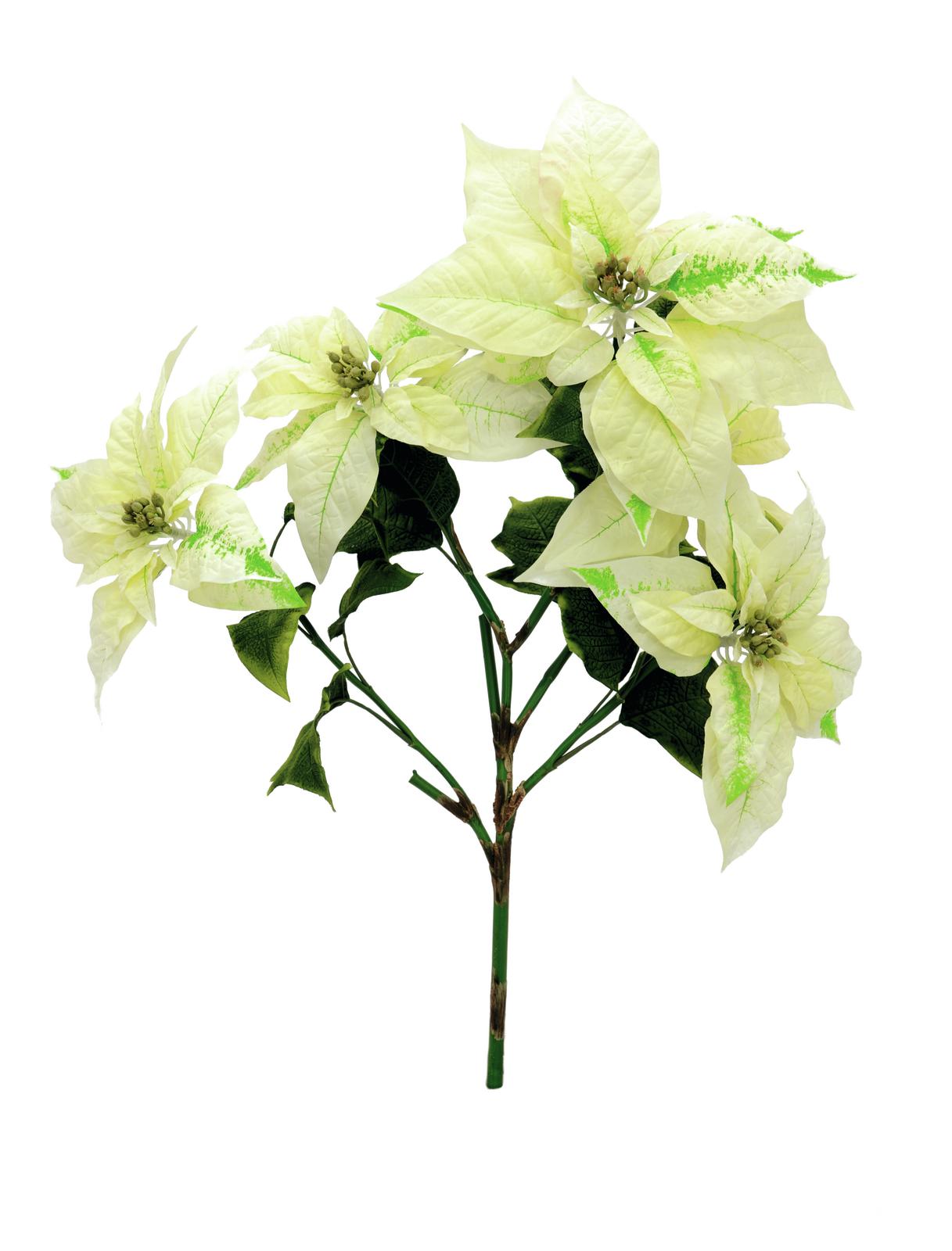 Vánoční hvězda větvička - krémová, 60cm