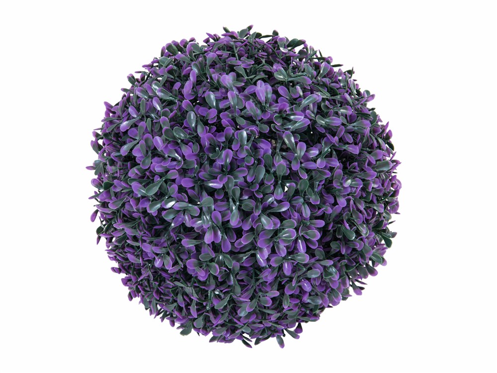 Zimostráz - Buxus koule růžová, 22cm