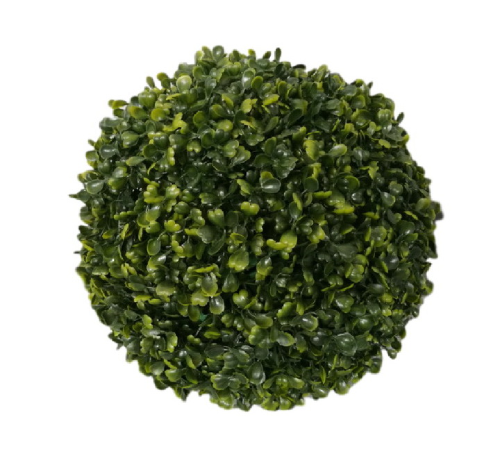 Zimostráz - Buxus koule EKO, 25cm
