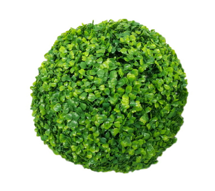 Zimostráz - Buxus koule EKO, 30cm