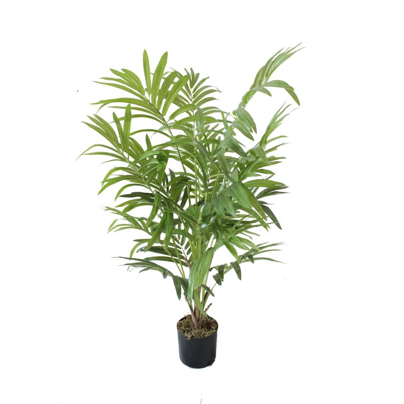 Palma parlour, 90cm