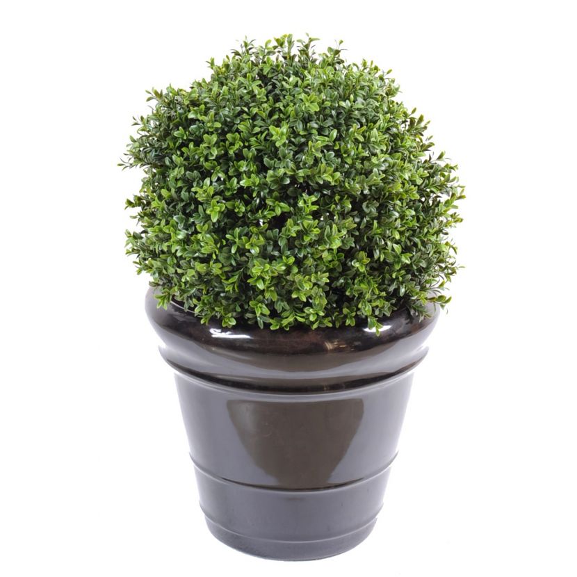 Zimostráz - Buxus koule New UV Resistant, 45cm