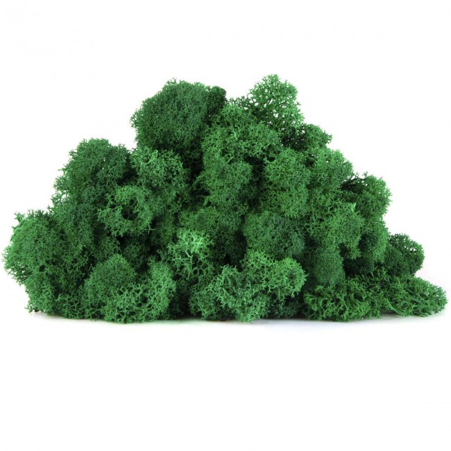 Stabilizovaný mech lišejník 0,5 kg - smaragdově zelená