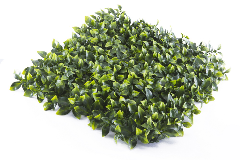 Umělá zelená stěna CITRUS PREMIUM, dílec 50x50cm, plocha 0,25m2