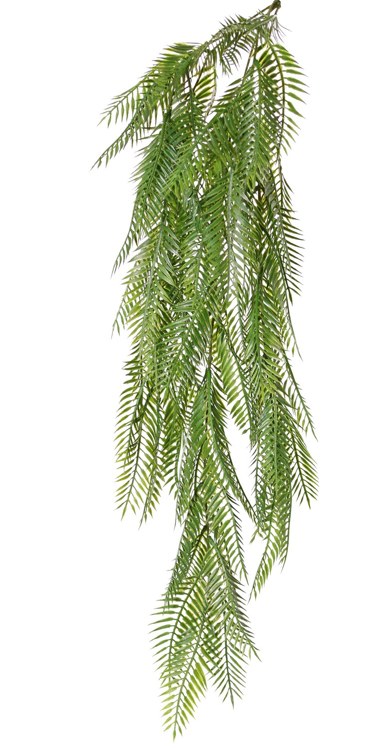 Popínavá kapradina, 88cm
