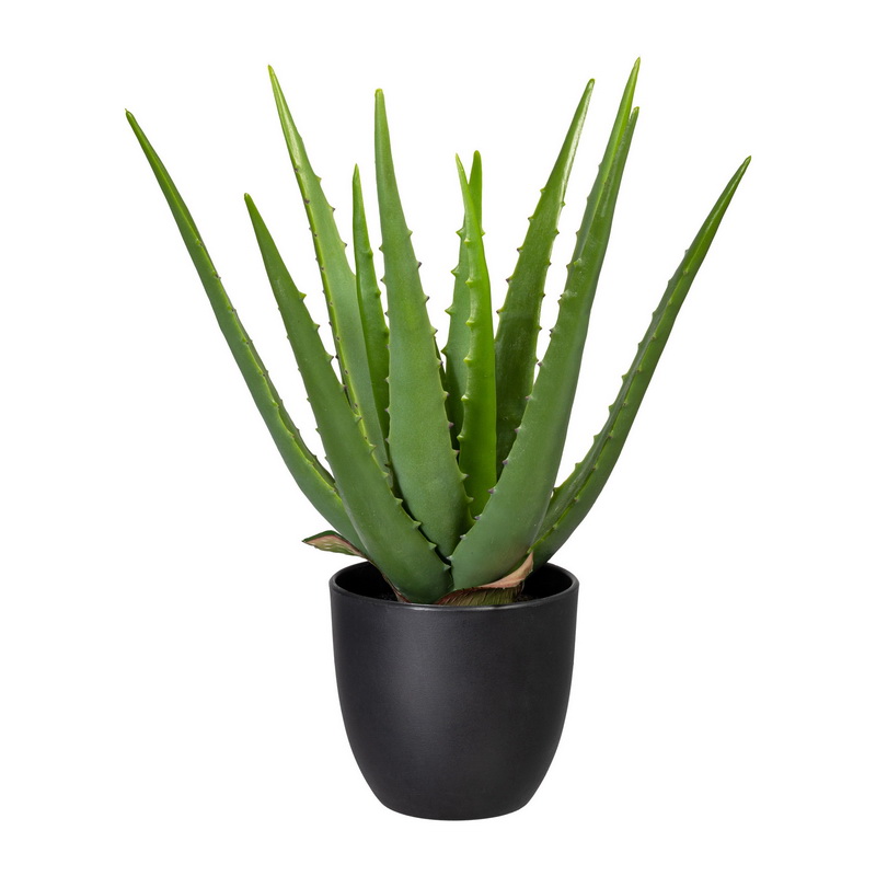Aloe v květináči, 33cm