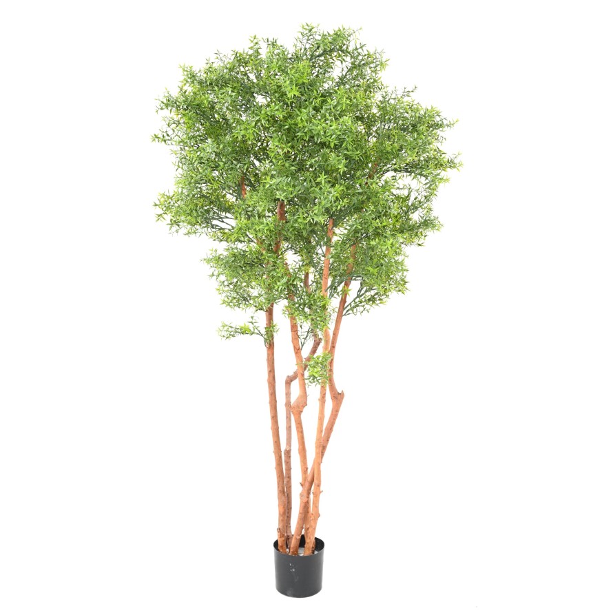 Eukalypt strom UV, 180 cm