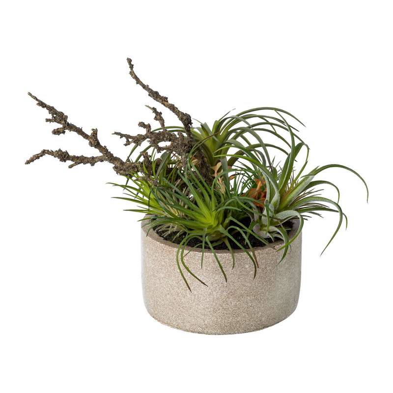 Mix sukulentů v květináčích, 26cm
