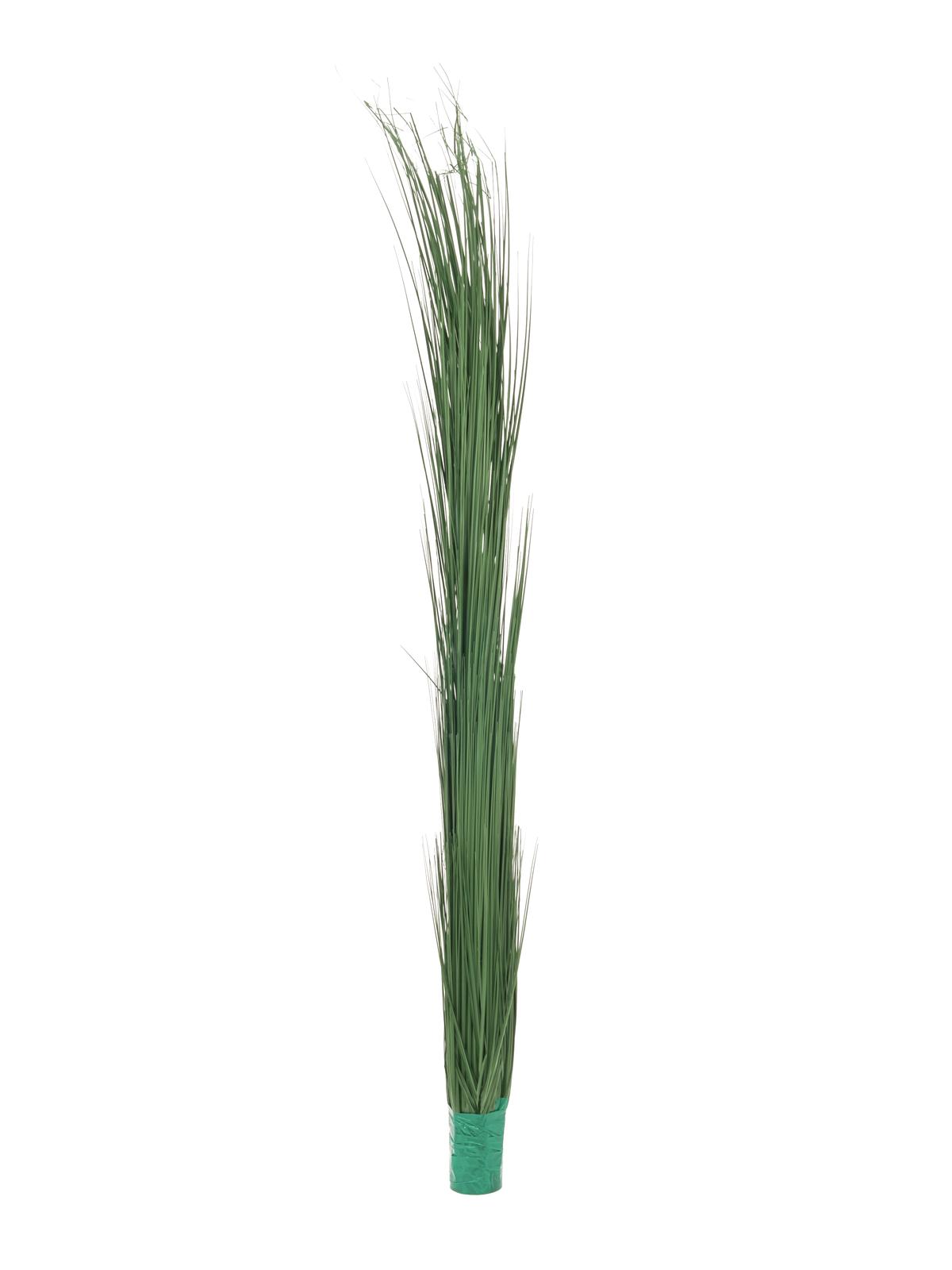 Zblochan vodní, tmavě zelený, 127 cm